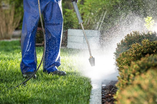 Curb Cleaning in Ventura
