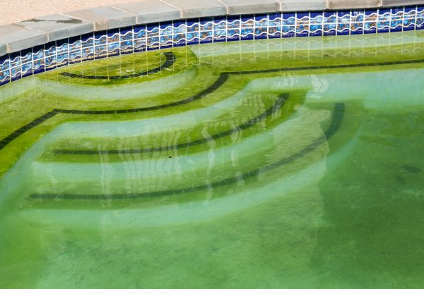Pool Deck Algae Removal in Ventura
