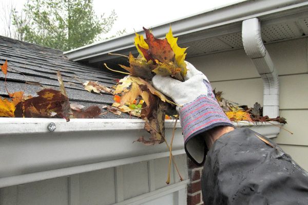 Eaves Cleaning in Ventura