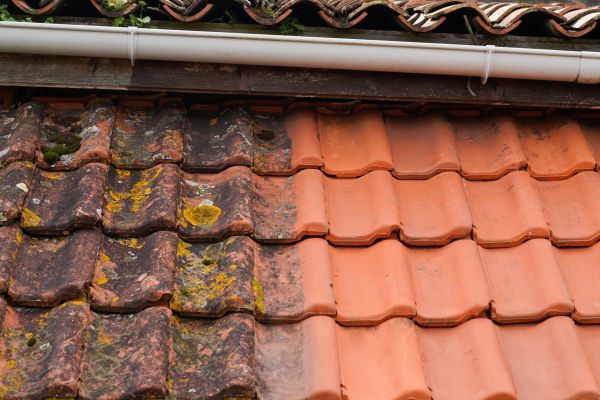 Industrial Roof Cleaning in Ventura