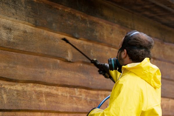 Cedar Siding Washing in Ventura